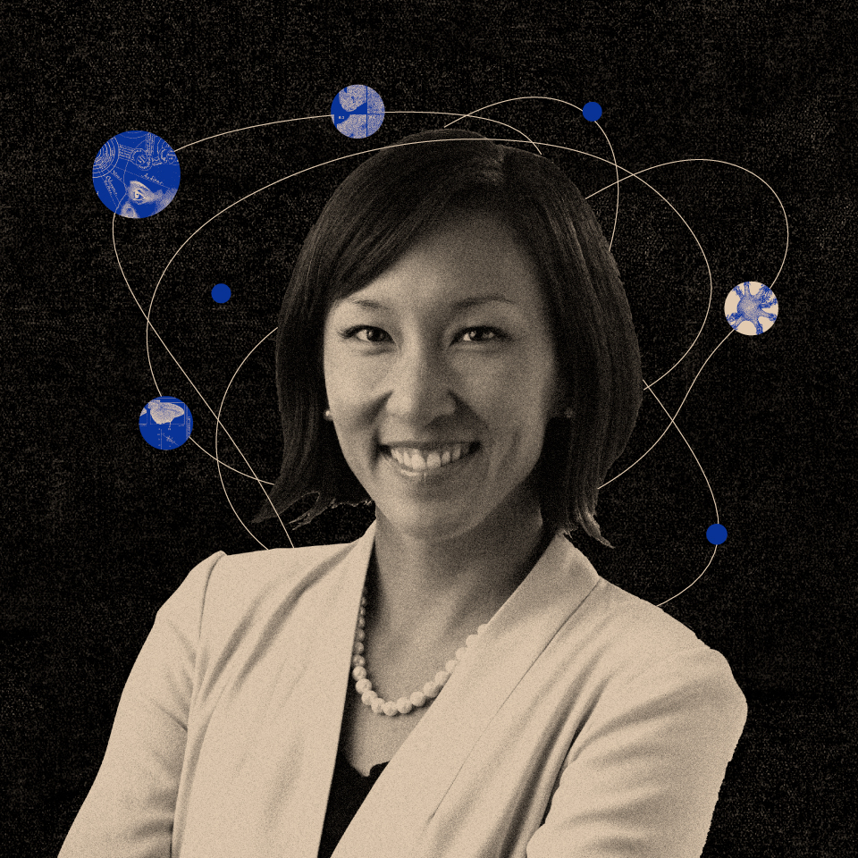 The Mind At Work Kay Tye On Unlocking The Grip Of Negative Emotions The Mind At Work Kay Tye On Unlocking The Grip Of Negative Emotions