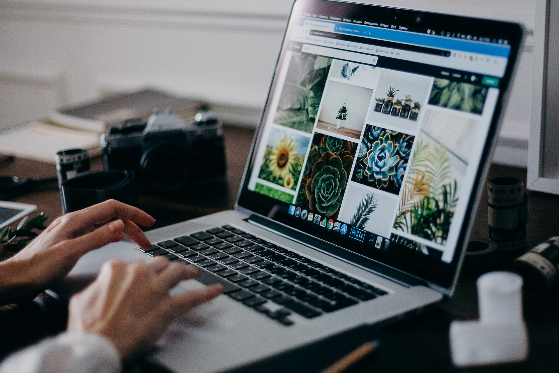 A person reviewing photos on their computer