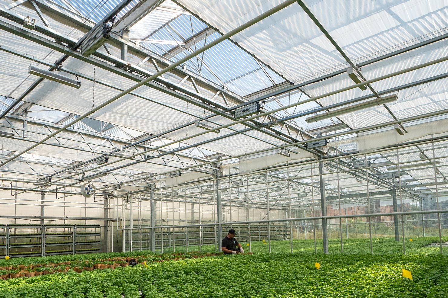 „Elastyczna przyszłość” – poznaj naszych klientów: ECF Farmsystems