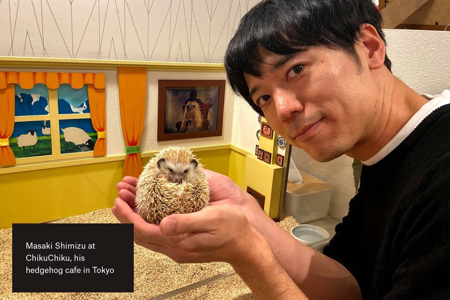 Masaki Shimizu presso il ChikuChiku, il suo hedgehog café a Tokyo