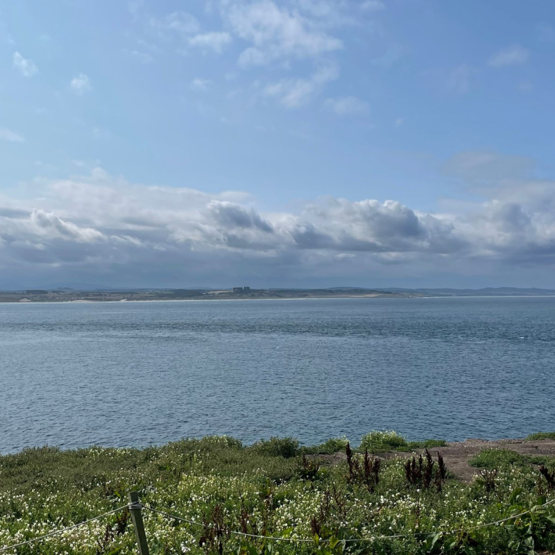 A view of the ocean from Farne Island
