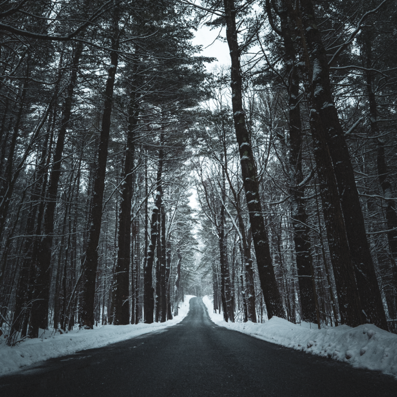 A road running though a snow-covered forest