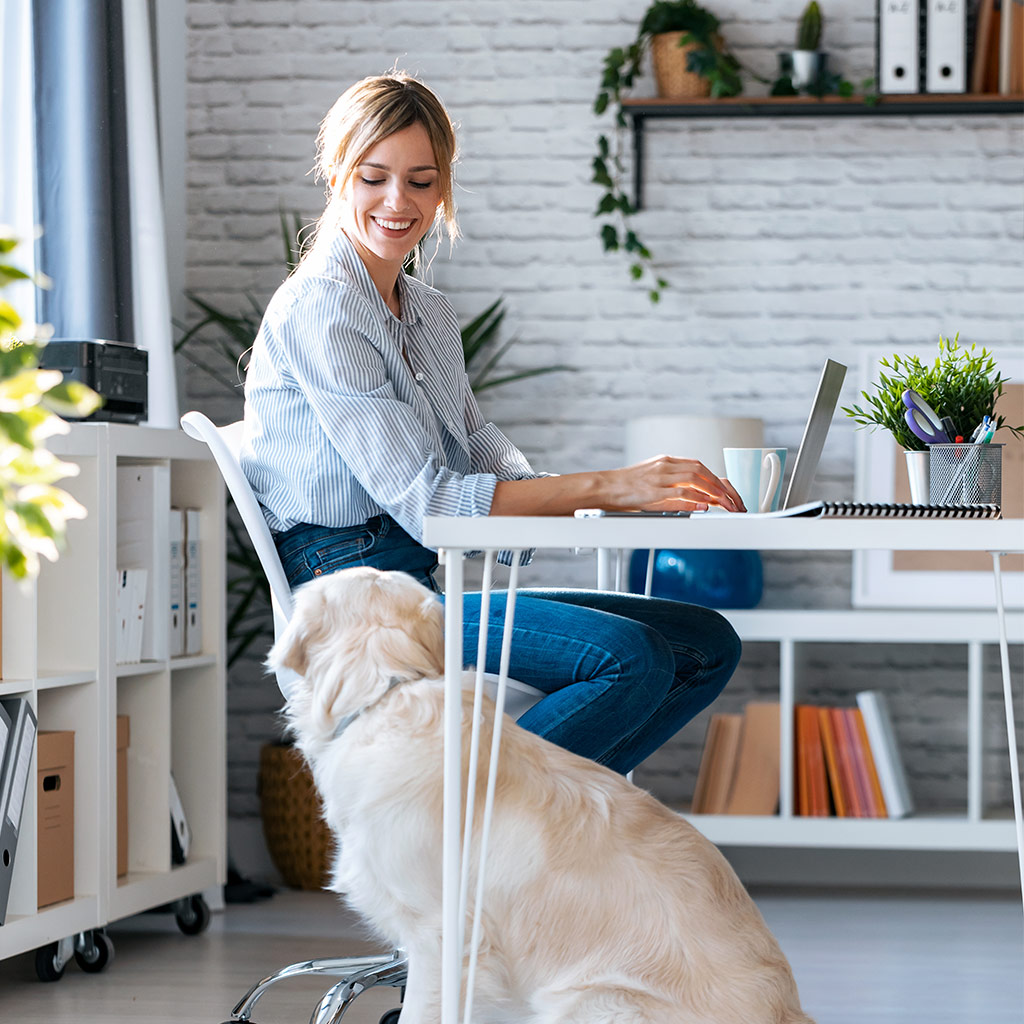 Uma pessoa trabalhando de casa no laptop olhando para seu cachorro de estimação