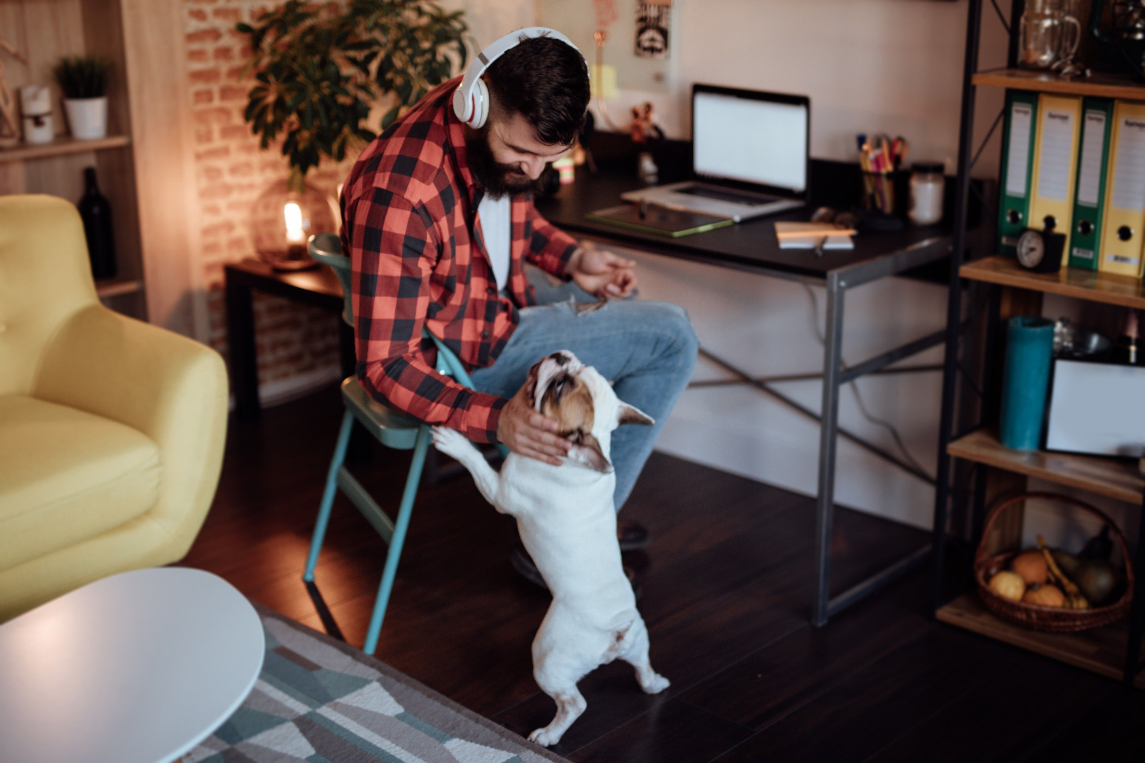 Um funcionário remoto desfruta do conforto de casa passando tempo com os animais de estimação enquanto trabalha