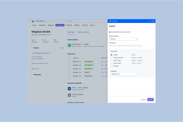 Qualcuno mentre esporta i dati in Dropbx dalla sezione Clienti della dashboard Stripe