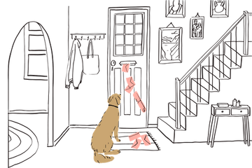 Dog waiting by door as multiple pink letters arrive which illustrates the impact of delayed or fragmented async feedback