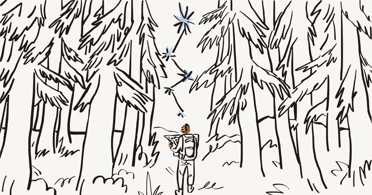 Eine Person schaut beim Wandern im Wald auf eine Karte
