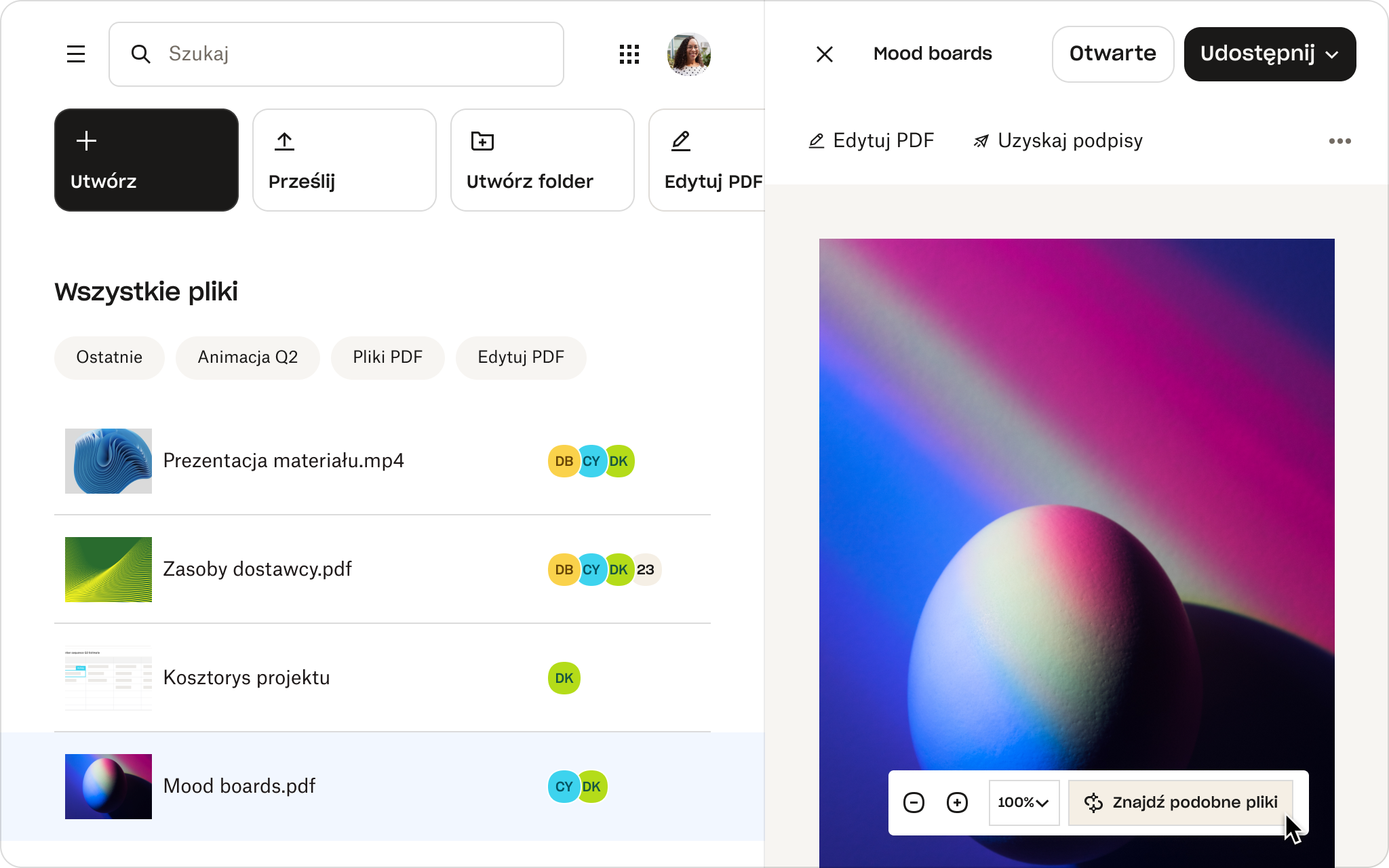 Podgląd pliku o nazwie „Moodboardy” w Dropbox z widocznymi funkcjami, takimi jak „Edytuj PDF”, „Uzyskaj podpisy” i „Znajdź podobne pliki”.