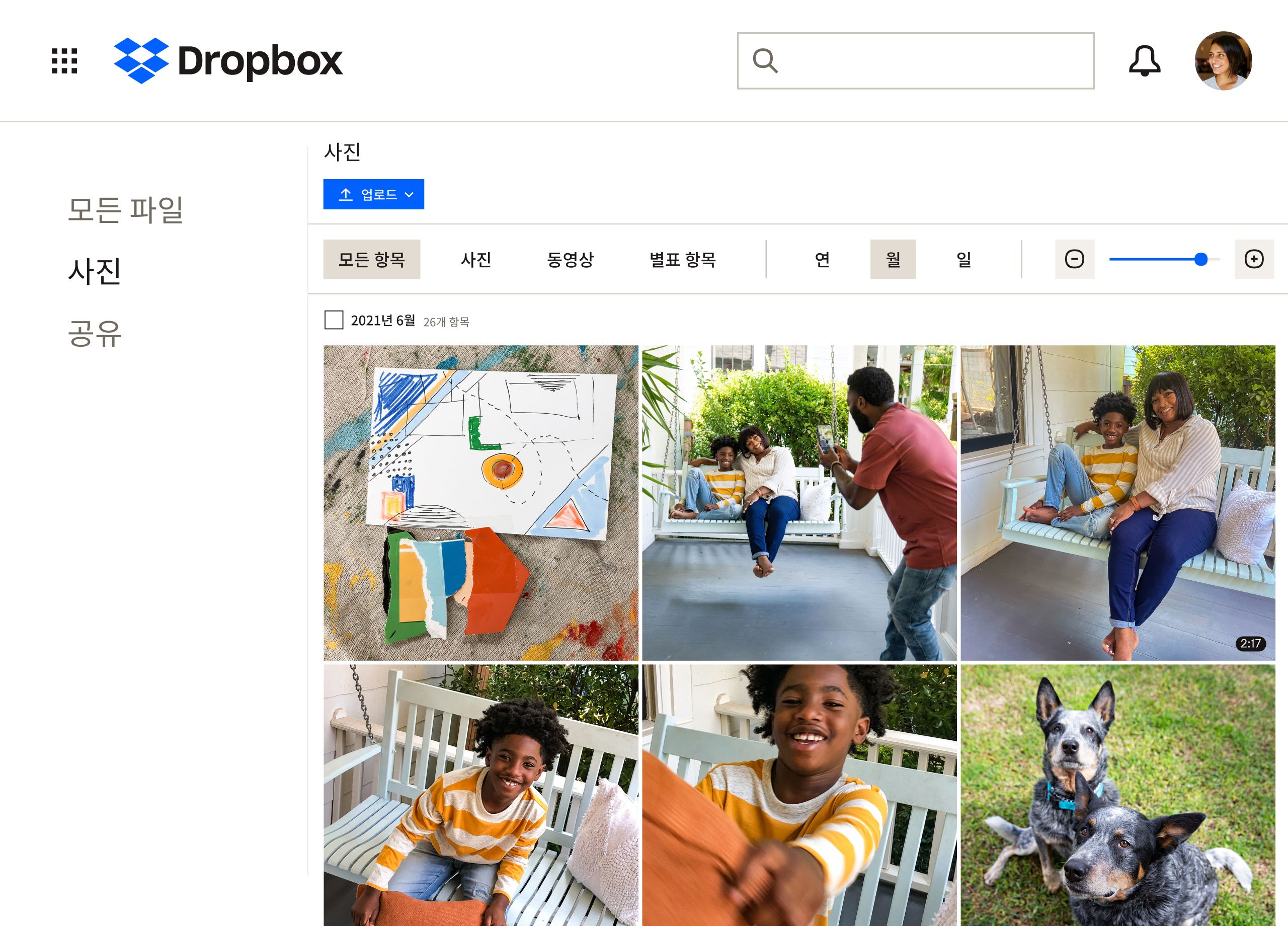 Dropbox 폴더에 저장 중인 가족과 반려견의 이미지 모음