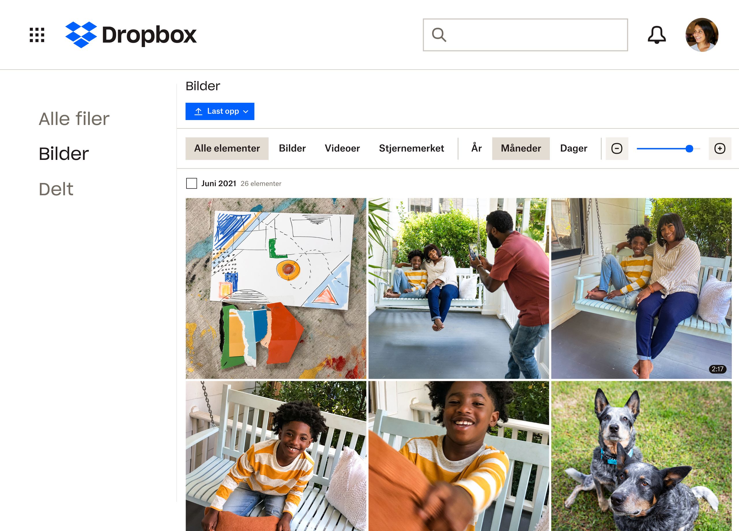 En samling bilder av en familie og deres hunder som blir lagret i en Dropbox-mappe