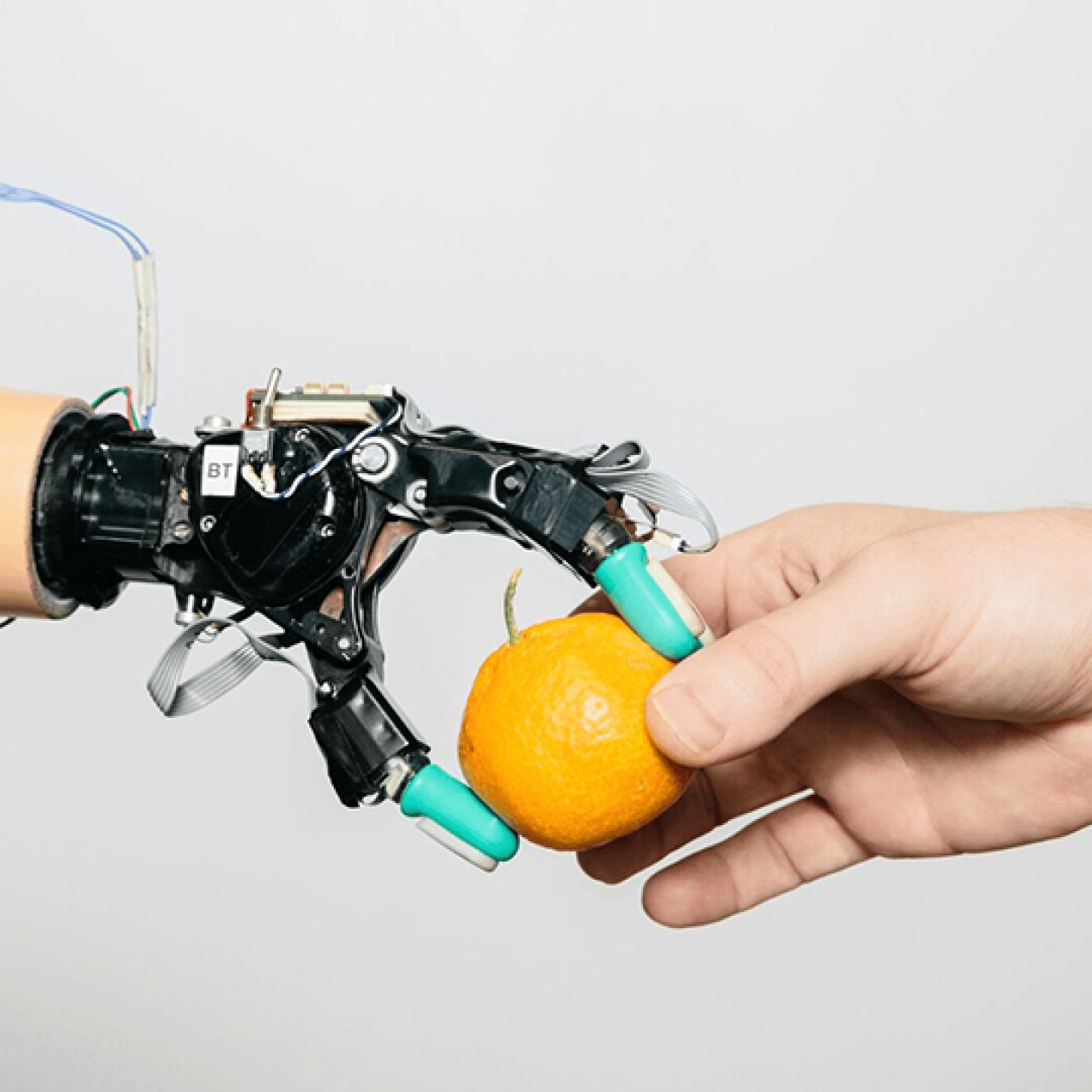 一只机器人手正在从一个人的手中拿取橘子
