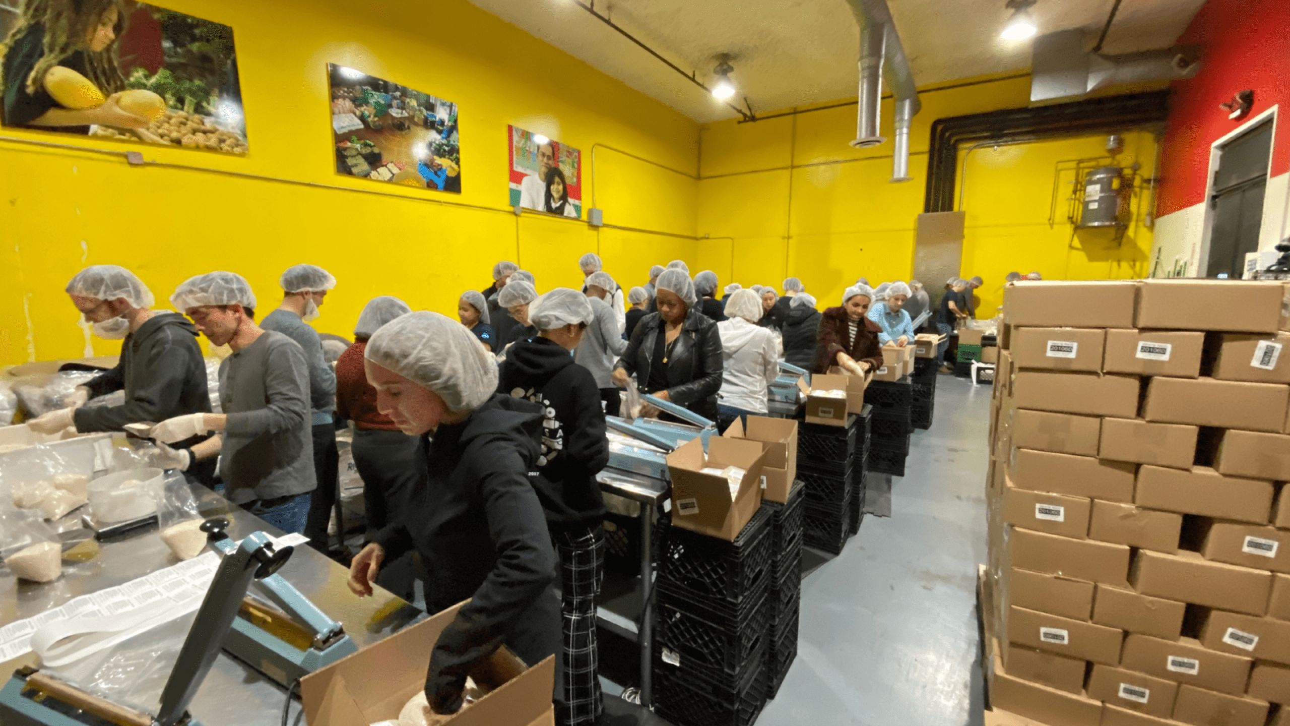A group of people volunteer at a food bank.