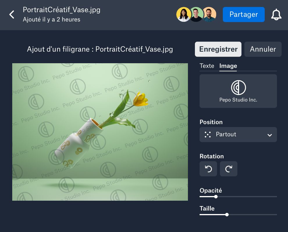 Application d'un filigrane personnalisé à une image dans Dropbox