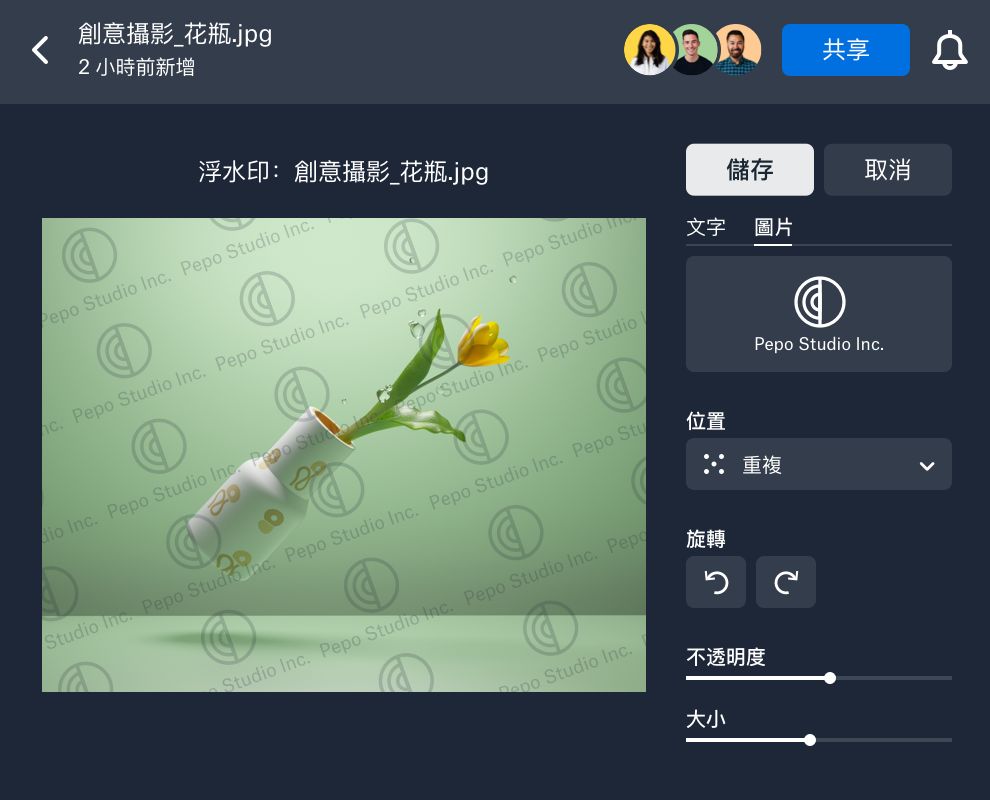 套用自訂浮水印到 Dropbox 中的圖片