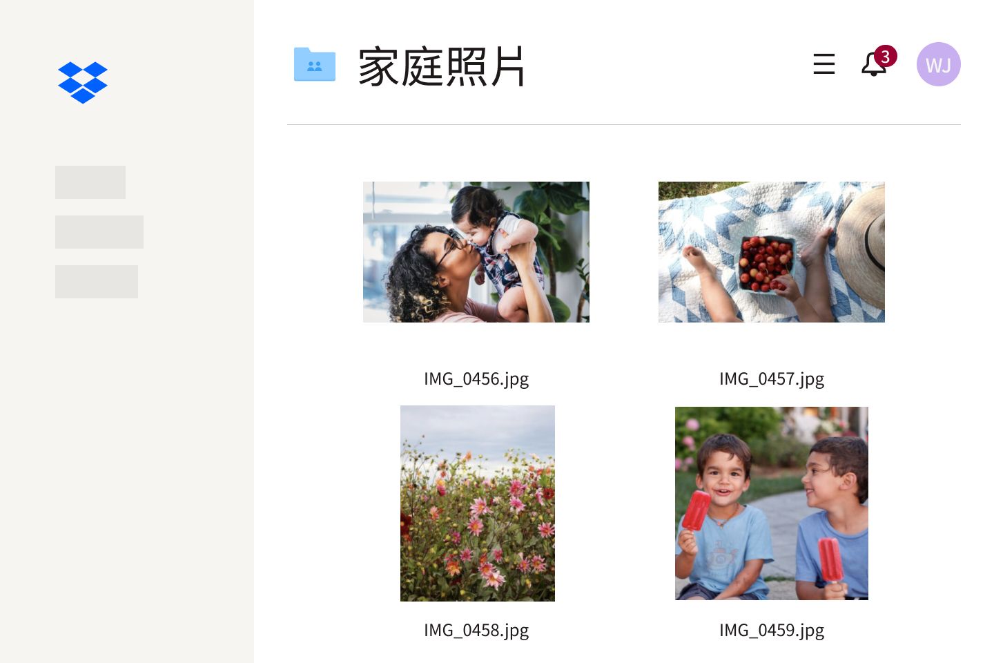 儲存在 Dropbox 上名為「家人相片」資料夾的一系列相片