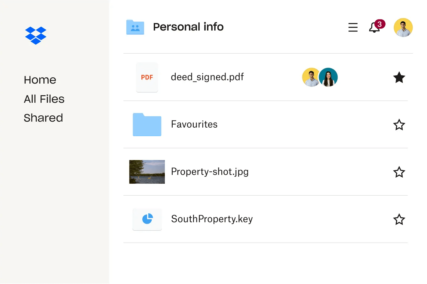 Image of files contained in a Dropbox account