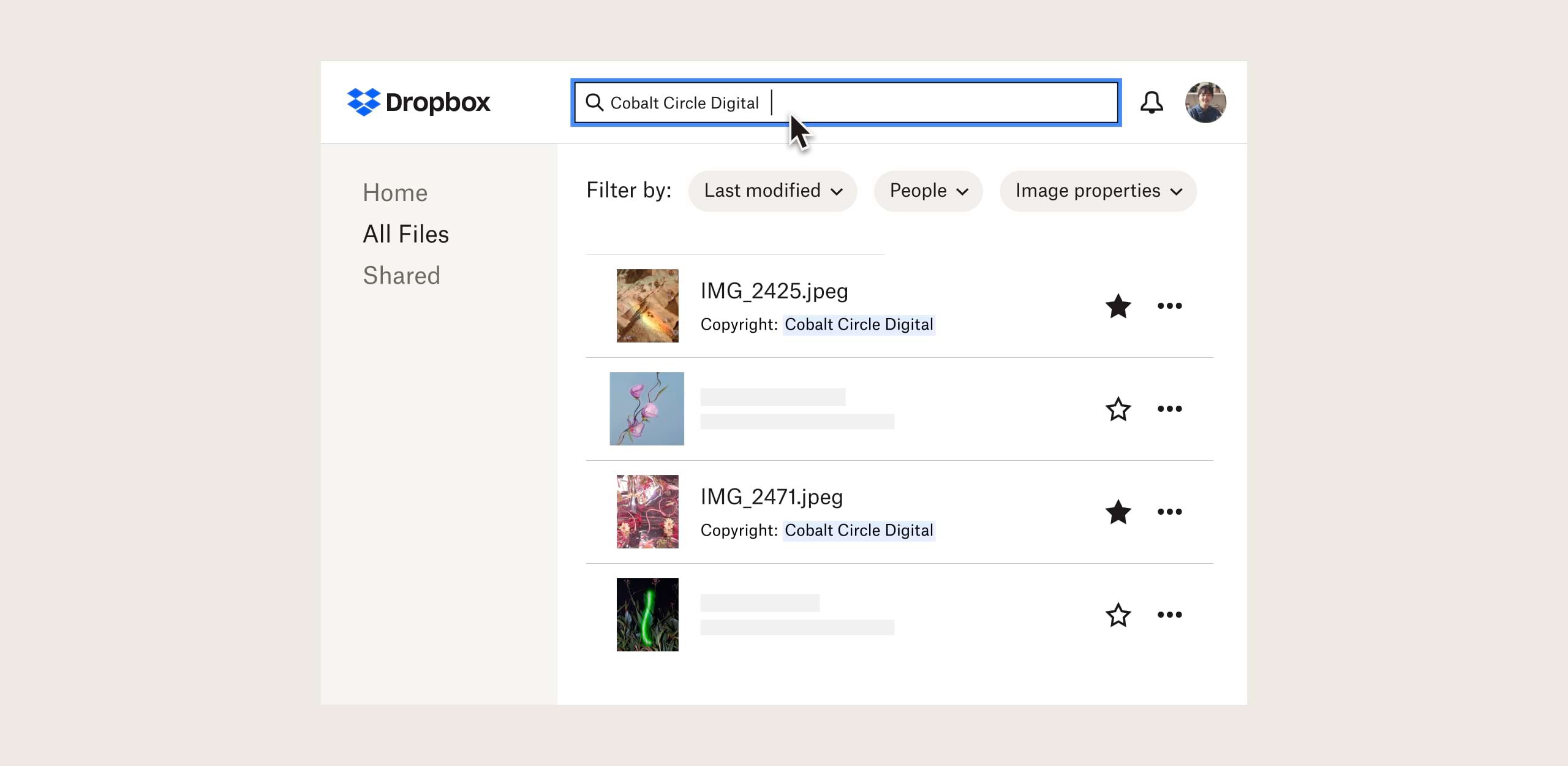 A search results page of images with copyright in the Dropbox interface